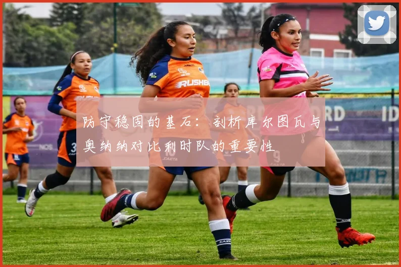 防守稳固的基石：剖析库尔图瓦与奥纳纳对比利时队的重要性